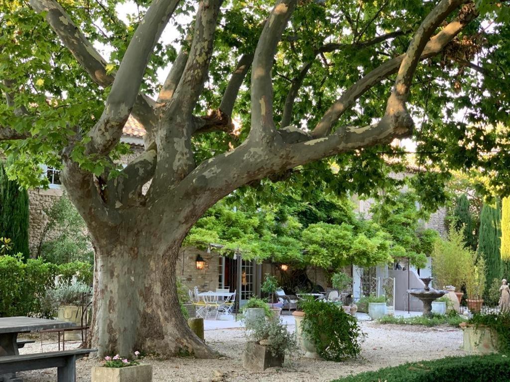 Le Clos De Lucie Lagnes Exteriör bild